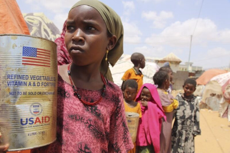 Vestlig bistænd holder Afrika fanget i fattigdom frem for at løse den. Her er analysen af hvad der virker –...