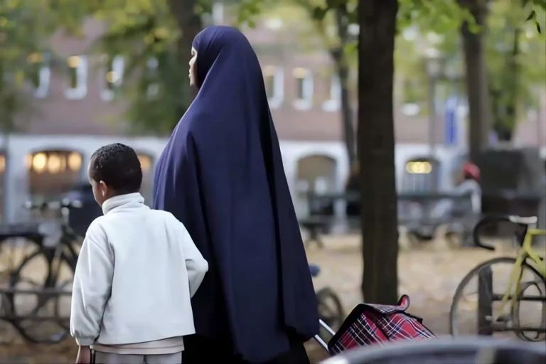 Er integrationen i Danmark lykkedes? Hvad tallene faktisk viser