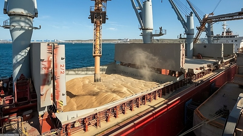 russisk stjalet korn pa container skib Ruslands skjulte kornkrig: Hvordan Kreml stadig plyndrer Ukraine