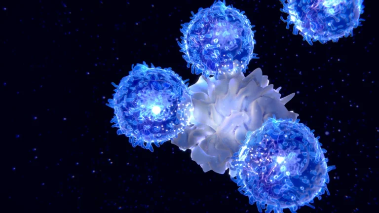 Dit immunsystem bliver gammelt – og ingen fortalte dig hvorfor