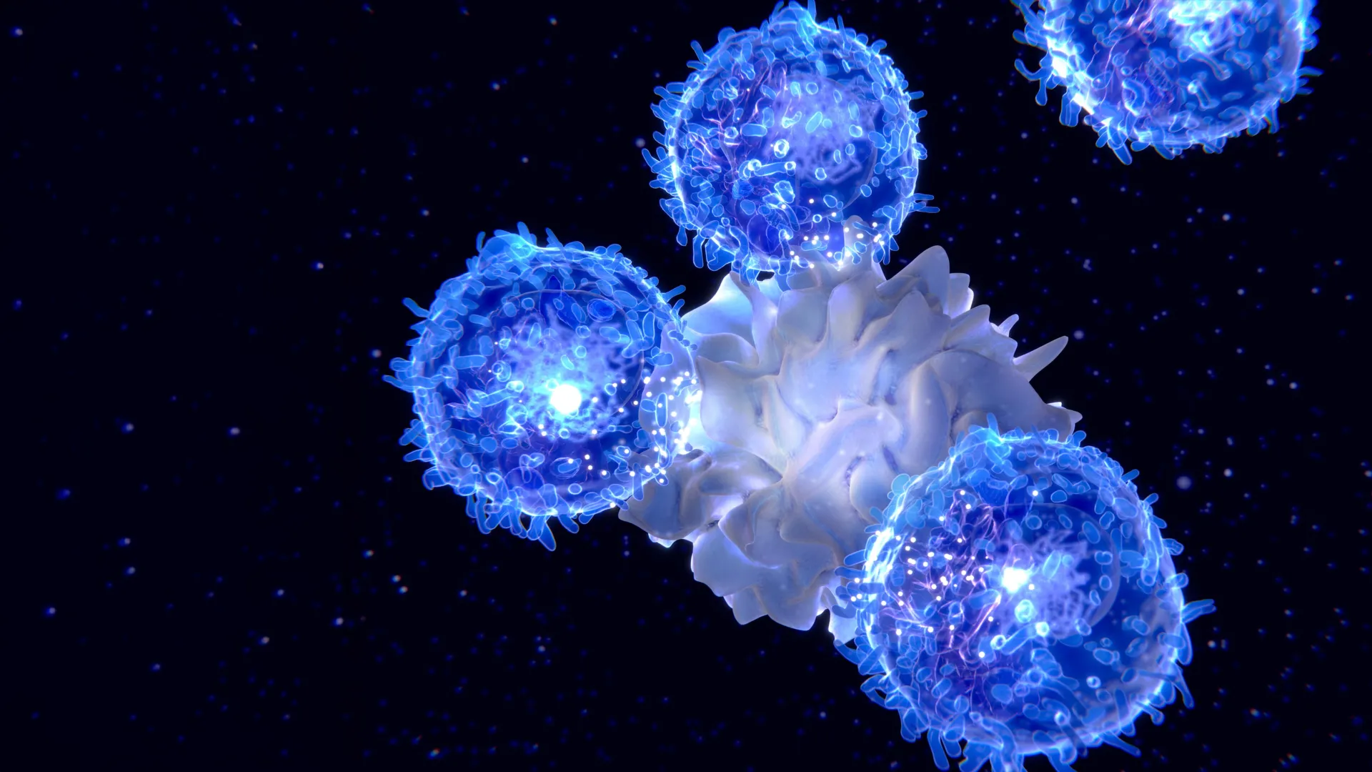 Dit immunsystem bliver gammelt – og ingen fortalte dig hvorfor — immunforsvar aldring