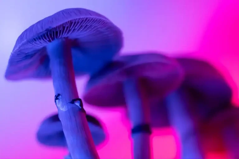 Magic mushrooms: insekternes gift er måske menneskets næste medicin
