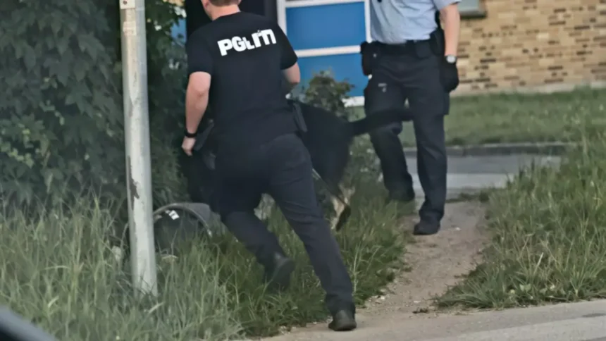 Brutal anholdelse i Aarhus: Betjent sparker liggende mand i hovedet