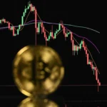 Bitcoin faldt 25%. Hvem ringede til dig? 2 Bitcoin faldt 25%. Hvem ringede til dig?